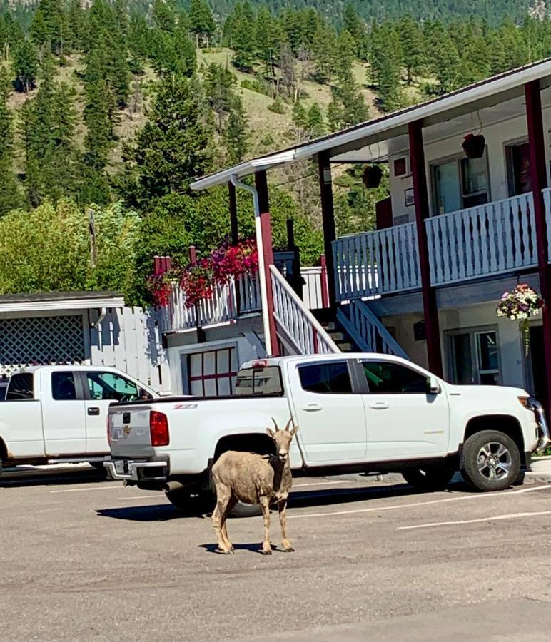 Mountain Springs Motel Radium Hot Springs Esterno foto
