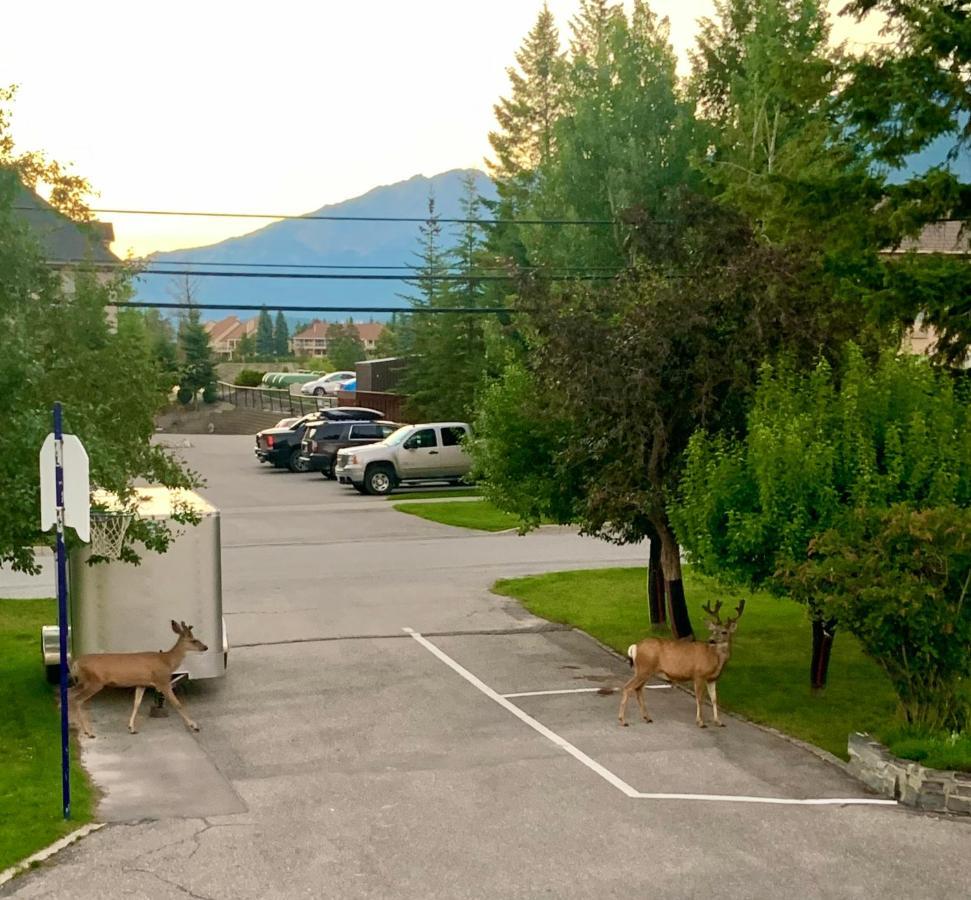 Mountain Springs Motel Radium Hot Springs Esterno foto