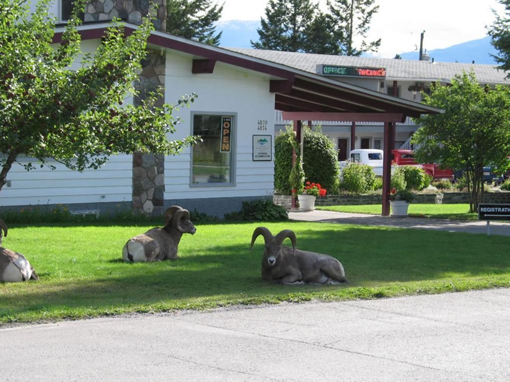 Mountain Springs Motel Radium Hot Springs Esterno foto