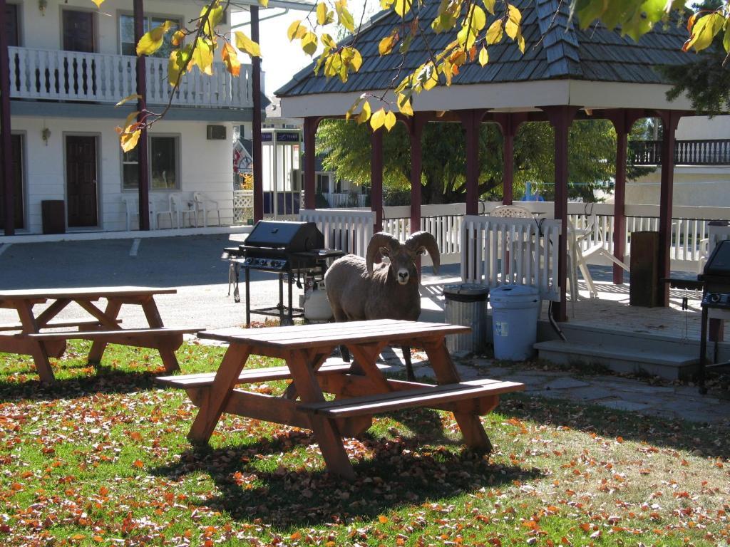 Mountain Springs Motel Radium Hot Springs Esterno foto